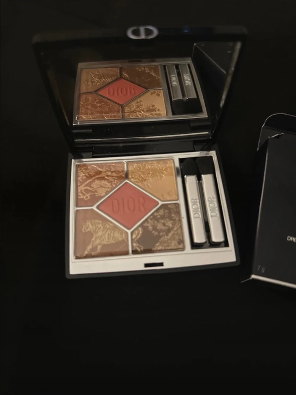 Dior 5-Color Eyeshadow Palette — Bronze, Gold, Tan & Warm Red Shades